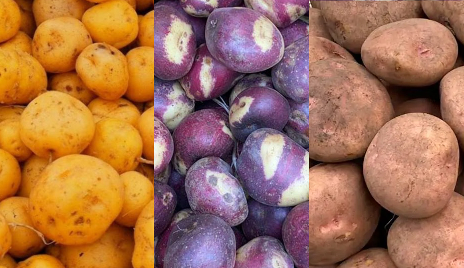 Les différentes pommes de terre pour réaliser un ajiaco