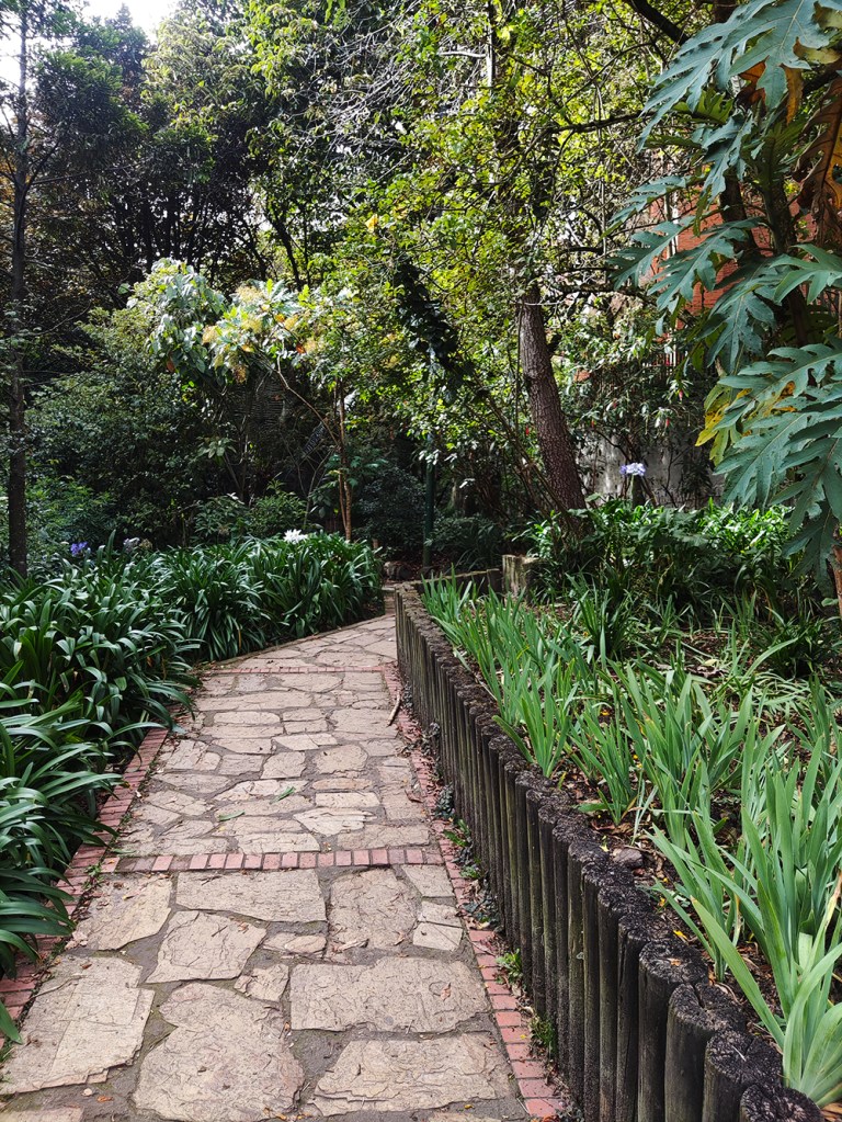 Chemin. Visite guidée et randonnée à Bogota avec un guide francophone. Panorama nature
