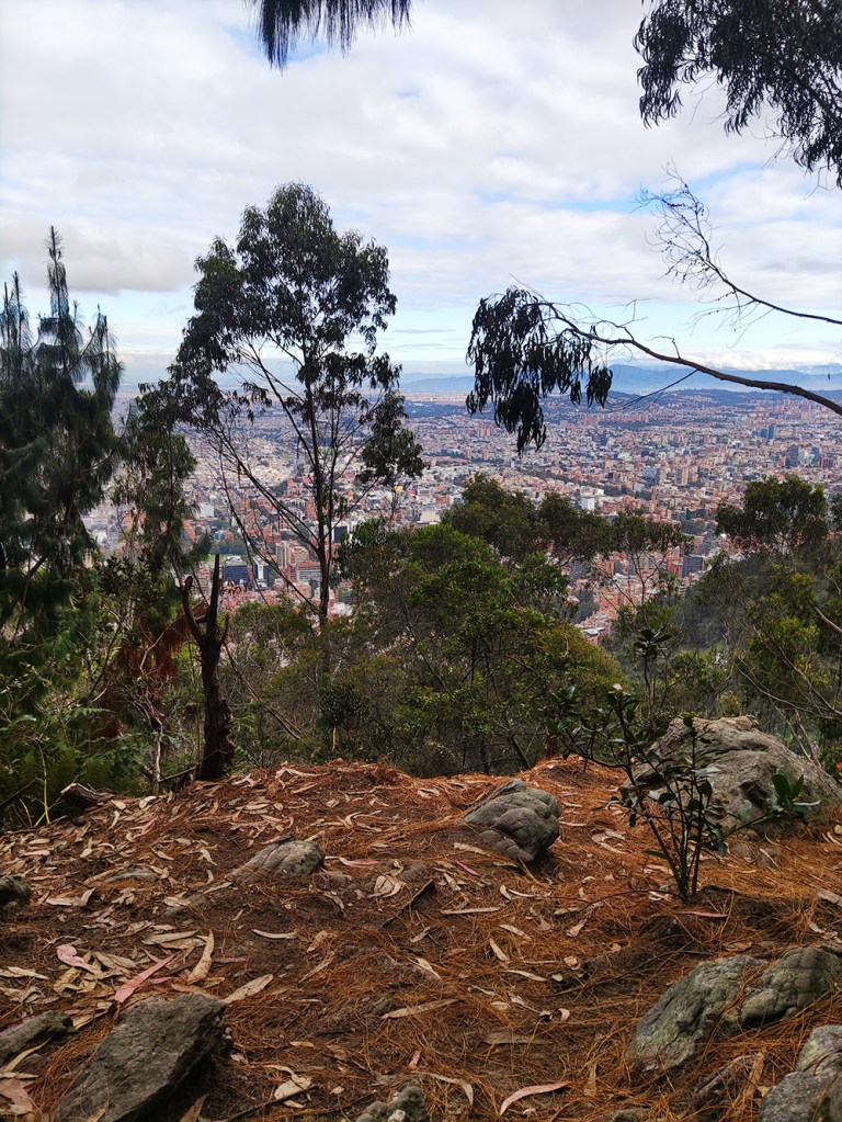 Vue Bogota. Visite guidée et randonnée à Bogota avec un guide francophone. Panorama nature