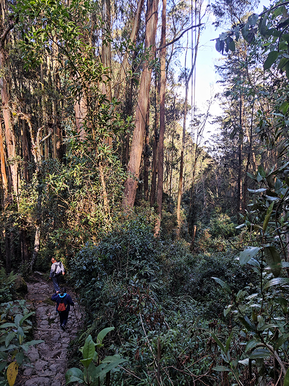 Quebrada la Vieja, Chapinero
