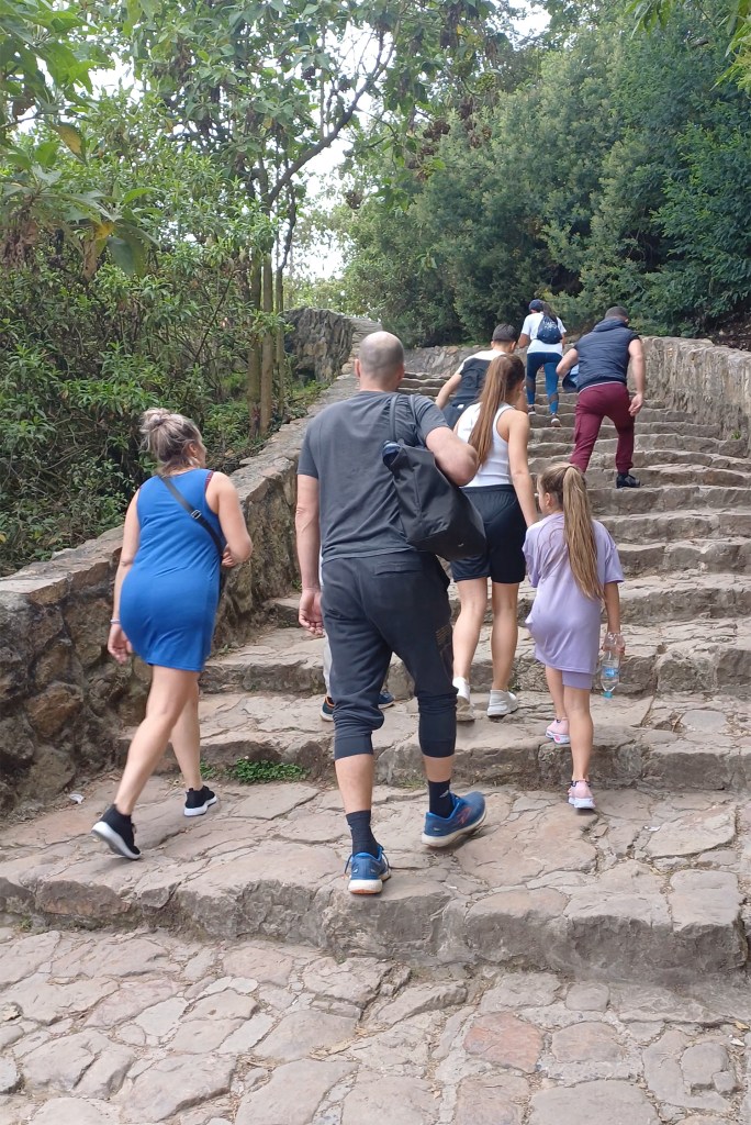 Offre visite guidée groupée - guide francophone Bogota